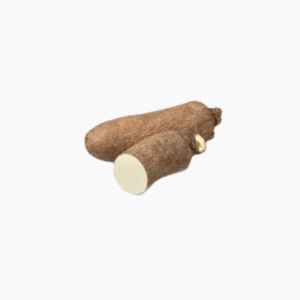 Yam - Medium