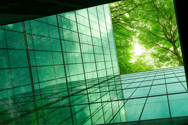 Energy-Efficient Practices and Sustainable Store Operations