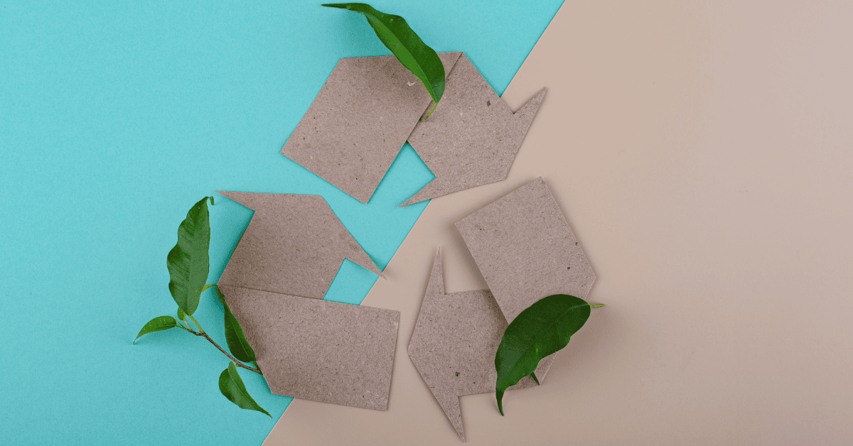 How to Shop Sustainably with Z-Fresh Market’s Eco-Friendly Products