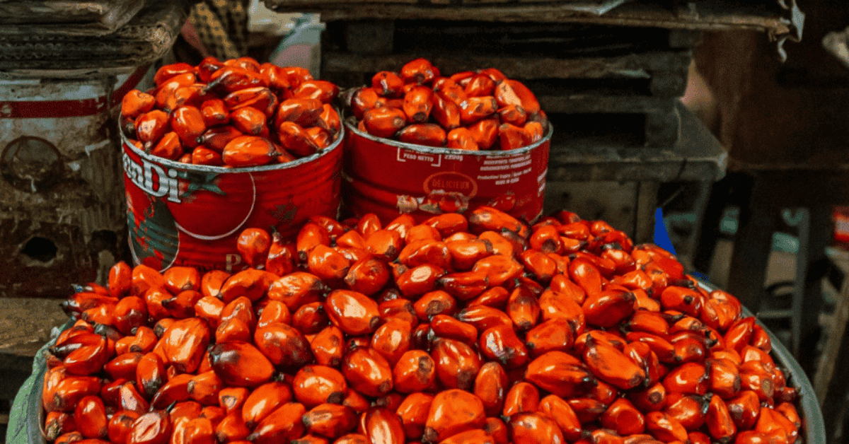 The Health Benefits of Palm Kernel Oil: Why You Should Add It to Your Kitchen Staples