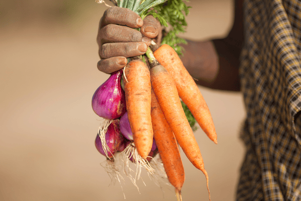 A variety of fresh, locally sourced produce, showcasing the quality and freshness of community-grown produce.
