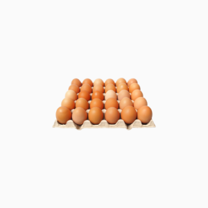 Organic Eggs