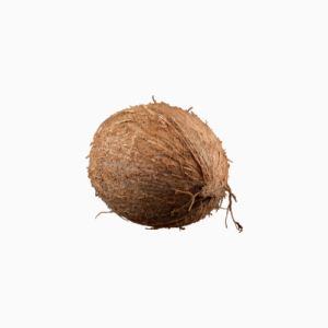 Coconut