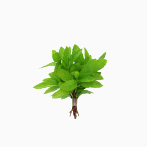 Mint Leaves