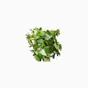 Uziza Leaf - Bunch