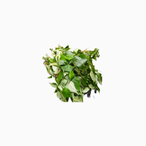 Uziza Leaf - Bunch