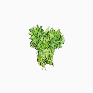 Water Leaf - Already Cut