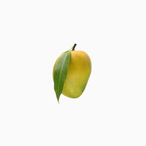 Mango x5