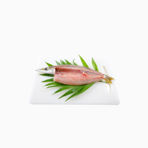 Frozen Hake (Panla Fish) -1 kg