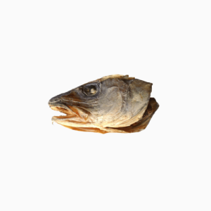 Stock Fish (Head)