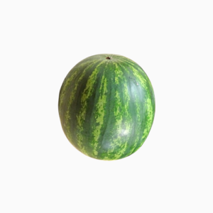 Watermelon - Large