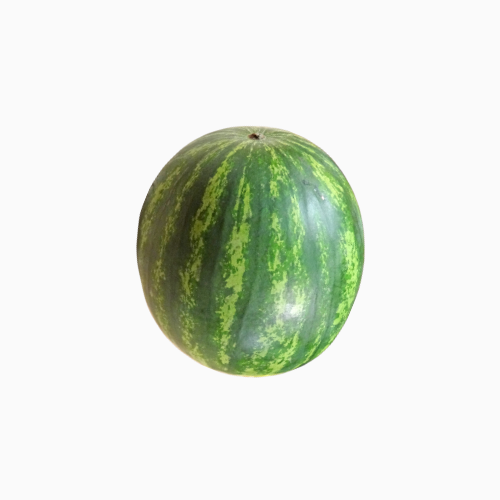 Watermelon - Large