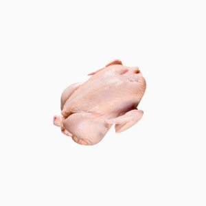 Large Old Layer Chicken - Cut Up