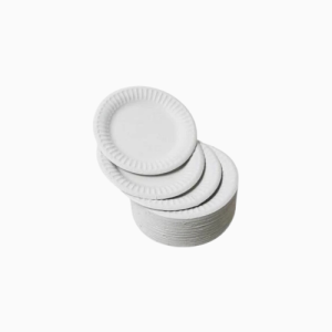 Disposable Paper Plates x100